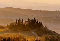 Wine scenery Piedmont Italy