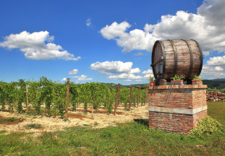 regione vinicola piemontese, vino italiano, barbera d'asti, barolo, vino rosso piemontese, regione del piacere piemontese, sunstar hotel