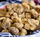 tartufo bianco alba isola dasti s