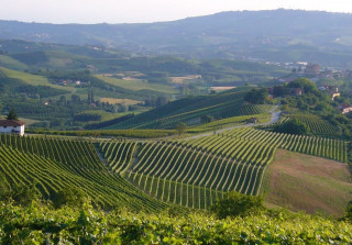 vino piemonte, vino in piemonte, vacanze di piacere hotel pimeont, hotel in piemonte, hotel in isola d'asti, boutique hotel italia, hotel piemonte, camere hotel in piemonte