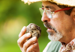 trueffel2 suche piemont sunstar alpine hotel kochbuch alpenkuechemarcus gyger