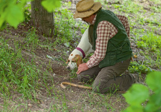 trueffel4 suche piemont sunstar alpine hotel kochbuch alpenkuechemarcus gyger