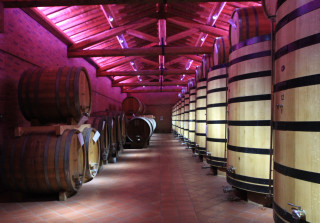 regione vinicola piemontese, vino italiano, barbera d'asti, barolo, vino rosso piemontese, regione del piacere piemontese, sunstar hotel