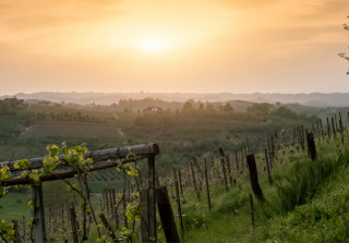 sunstar hotel piemont weinstory 02